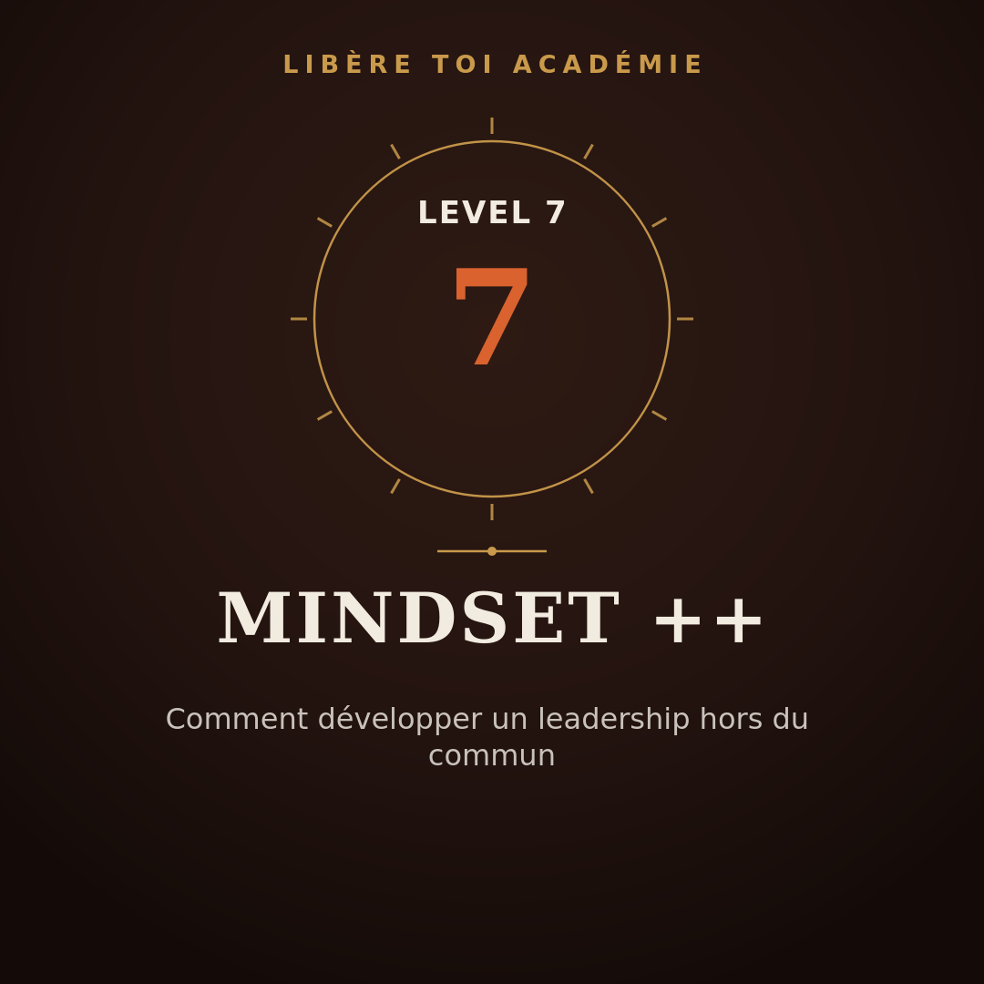 Level 7 - Mindset ++